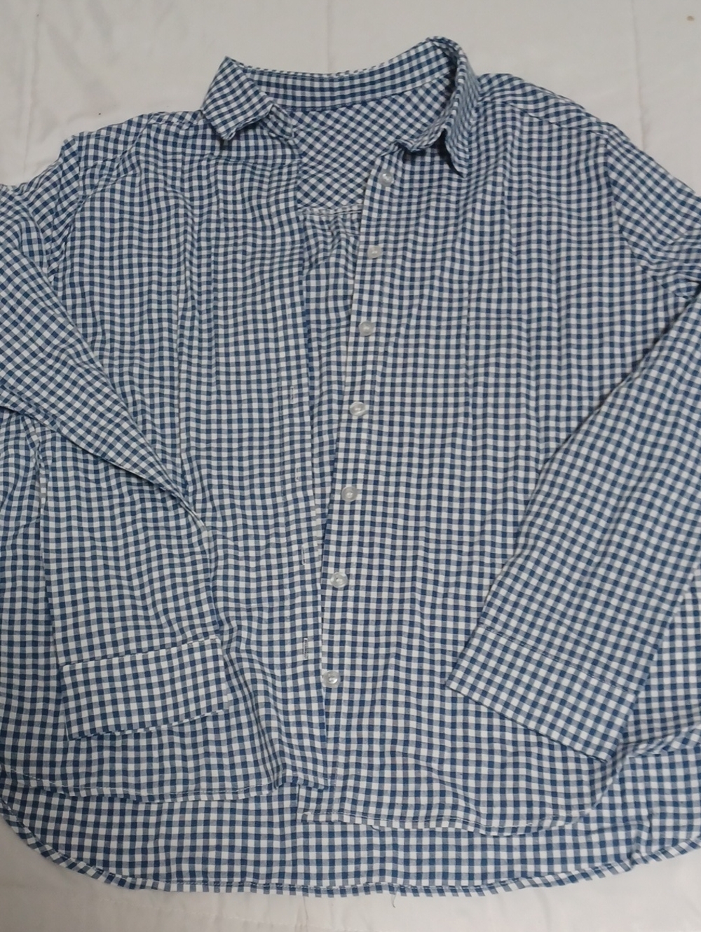 Women's Blue and White Gingham Lomon Button-Up Shirt